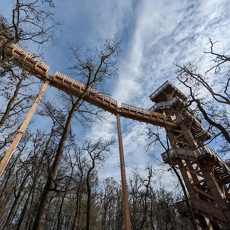 Modern In The Taunus