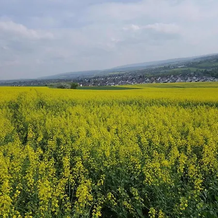 Modern In The Taunus