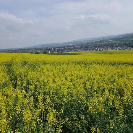Modern In The Taunus