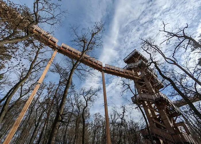 Modern In The Taunus