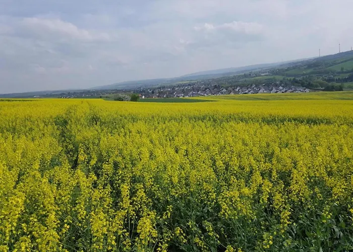 Apartment Modern In The Taunus