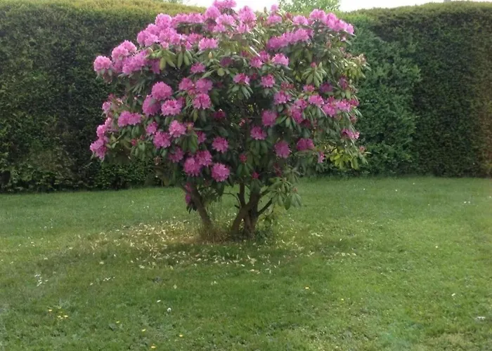 Modern In The Taunus Apartment